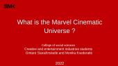 What is the Marvel Cinematic Universe ?