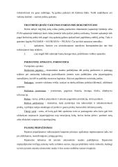 Kreditiniai ir debetiniai dokumentai. Prekybos įmonės ir jų rūšys 2 puslapis