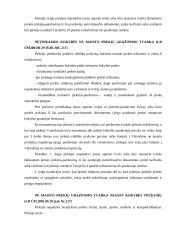 Kreditiniai ir debetiniai dokumentai. Prekybos įmonės ir jų rūšys 18 puslapis