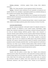 Kreditiniai ir debetiniai dokumentai. Prekybos įmonės ir jų rūšys 6 puslapis