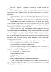 Kreditiniai ir debetiniai dokumentai. Prekybos įmonės ir jų rūšys 9 puslapis