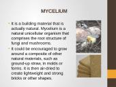 Environment friendly building material 8 puslapis