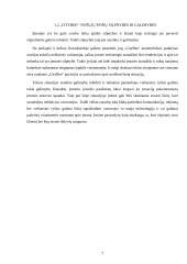 Citybee viešųjų ryšių įvertinimas SWOT analizės pagrindu 6 puslapis