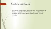 Spartako sukilimas 2 puslapis