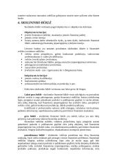 Kredito rizika 3 puslapis