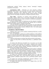 Kredito rizika 4 puslapis