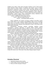 Kredito rizika 6 puslapis