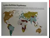 Pristatymas apie lytiškumą 11 puslapis