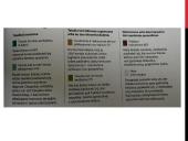 Pristatymas apie lytiškumą 12 puslapis