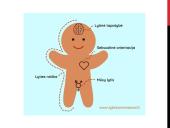 Pristatymas apie lytiškumą 7 puslapis