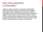 Pristatymas apie lytiškumą 8 puslapis