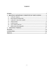 Lyderystė ir vadovavimas (psichologijos projektas)