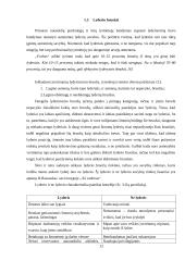 Lyderystė ir vadovavimas (psichologijos projektas) 11 puslapis