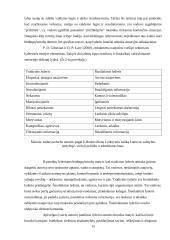Lyderystė ir vadovavimas (psichologijos projektas) 14 puslapis