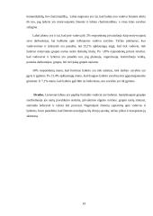 Lyderystė ir vadovavimas (psichologijos projektas) 18 puslapis