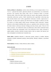 Lyderystė ir vadovavimas (psichologijos projektas) 2 puslapis