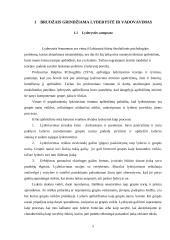 Lyderystė ir vadovavimas (psichologijos projektas) 4 puslapis