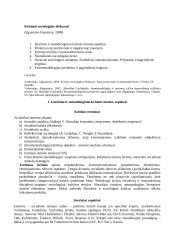 Kritiniai sociologijos diskursai