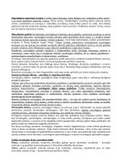 Kritiniai sociologijos diskursai 12 puslapis