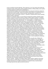 Kritiniai sociologijos diskursai 6 puslapis