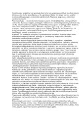 Kritiniai sociologijos diskursai 7 puslapis