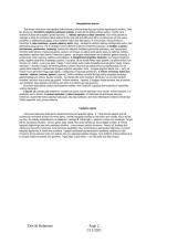 Kultūrų filosofija 2 puslapis