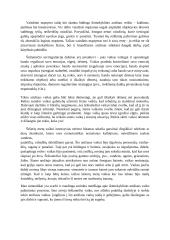 Pažintiniai vaiko procesai 2 puslapis