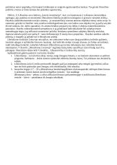 Liberalizmo idėjų raida 5 puslapis