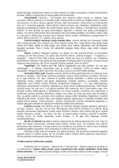 Lyderiavimas ir lyderiavimo esmė 2 puslapis