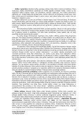 Lyderiavimas ir lyderiavimo esmė 13 puslapis