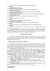 Lyderiavimas ir lyderiavimo esmė 17 puslapis