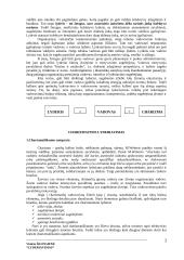 Lyderiavimas ir lyderiavimo esmė 3 puslapis