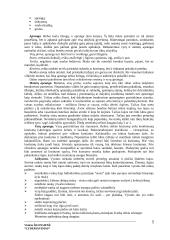Lyderiavimas ir lyderiavimo esmė 9 puslapis