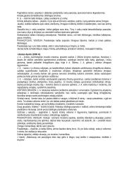 Išsami lietuvių literatūros teorija atsiskaitymui 11 puslapis