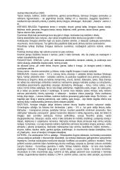 Išsami lietuvių literatūros teorija atsiskaitymui 12 puslapis