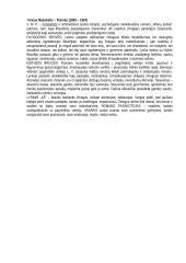 Išsami lietuvių literatūros teorija atsiskaitymui 4 puslapis