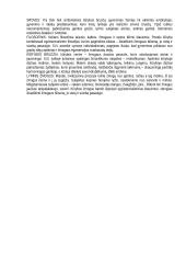 Išsami lietuvių literatūros teorija atsiskaitymui 7 puslapis