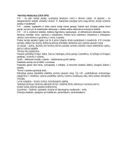 Išsami lietuvių literatūros teorija atsiskaitymui 8 puslapis