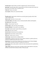 Antikos sąvokų ir posakių reikšmės 2 puslapis