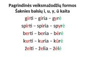 Veiksmažodžių pristatymas 13 puslapis