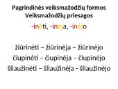 Veiksmažodžių pristatymas 9 puslapis
