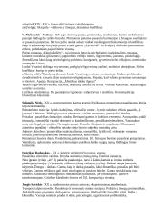 Lietuvių literatūra - esminė autorių informacija 2 puslapis