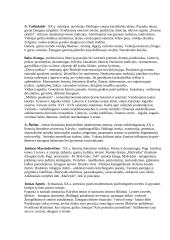 Lietuvių literatūra - esminė autorių informacija 3 puslapis