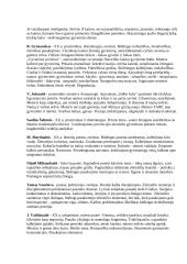 Lietuvių literatūra - esminė autorių informacija 4 puslapis