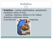 Amatai skaidrės 7 puslapis