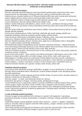 Lietuvių literatūros istorija