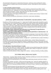 Lietuvių literatūros istorija 2 puslapis