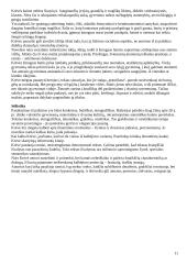 Lietuvių literatūros istorija 11 puslapis