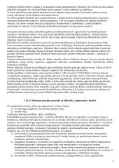 Lietuvių literatūros istorija 3 puslapis