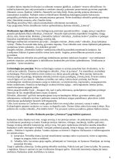 Lietuvių literatūros istorija 6 puslapis